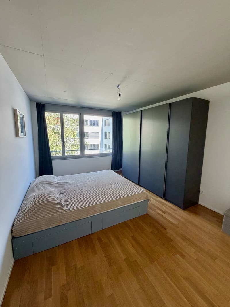 Auf der Suche nach einer modernen Wohnung in Winterthur Hegi? (5)