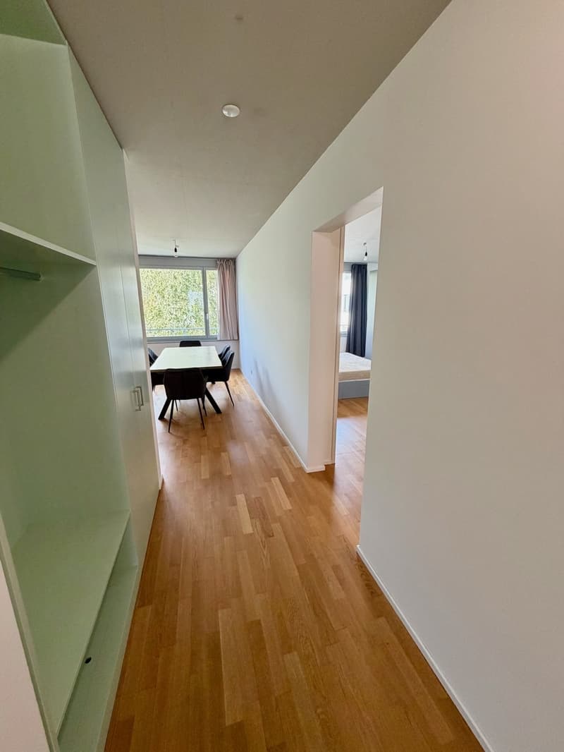 Auf der Suche nach einer modernen Wohnung in Winterthur Hegi? (4)