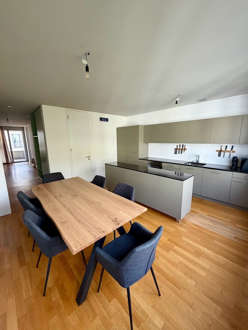 Auf der Suche nach einer modernen Wohnung in Winterthur Hegi? (3)