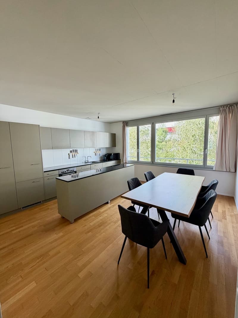 Auf der Suche nach einer modernen Wohnung in Winterthur Hegi? (1)