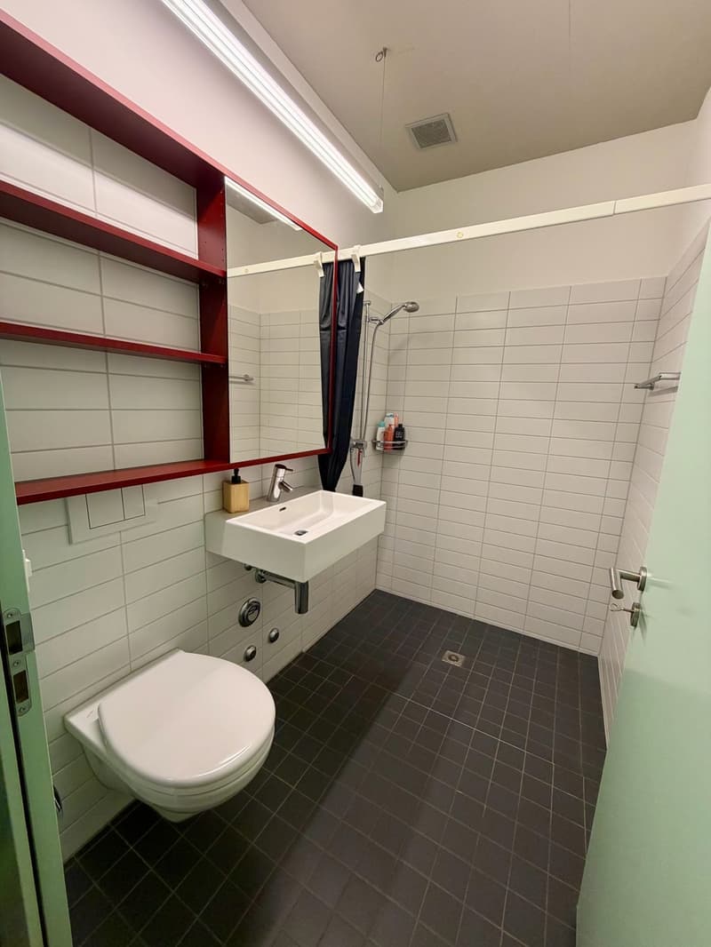 Auf der Suche nach einer modernen Wohnung in Winterthur Hegi? (9)