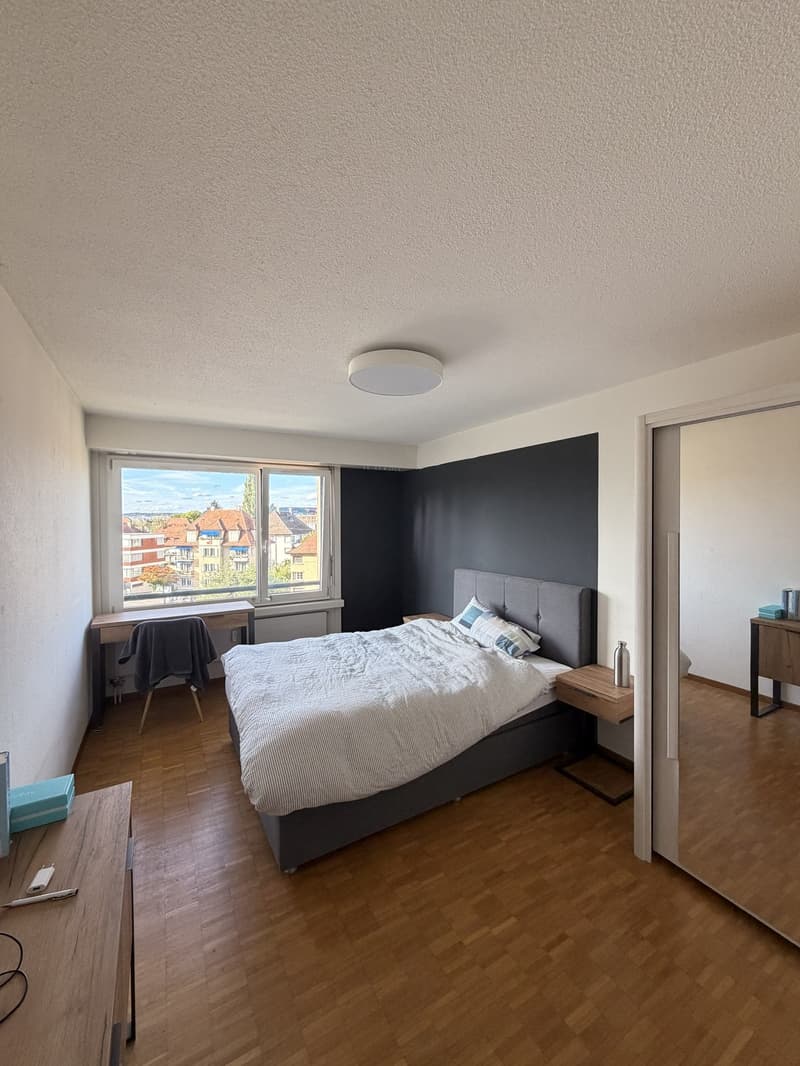 Great room in shared flat with views over Zurich (1)