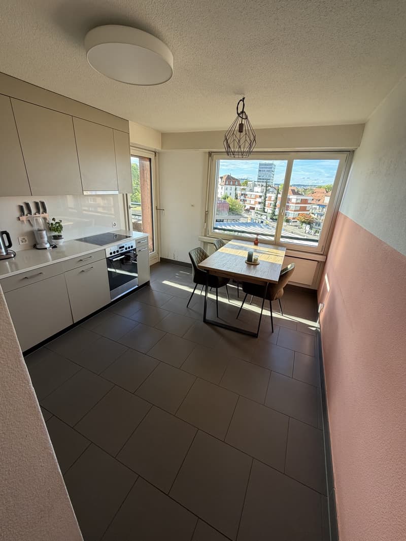 Great room in shared flat with views over Zurich (2)