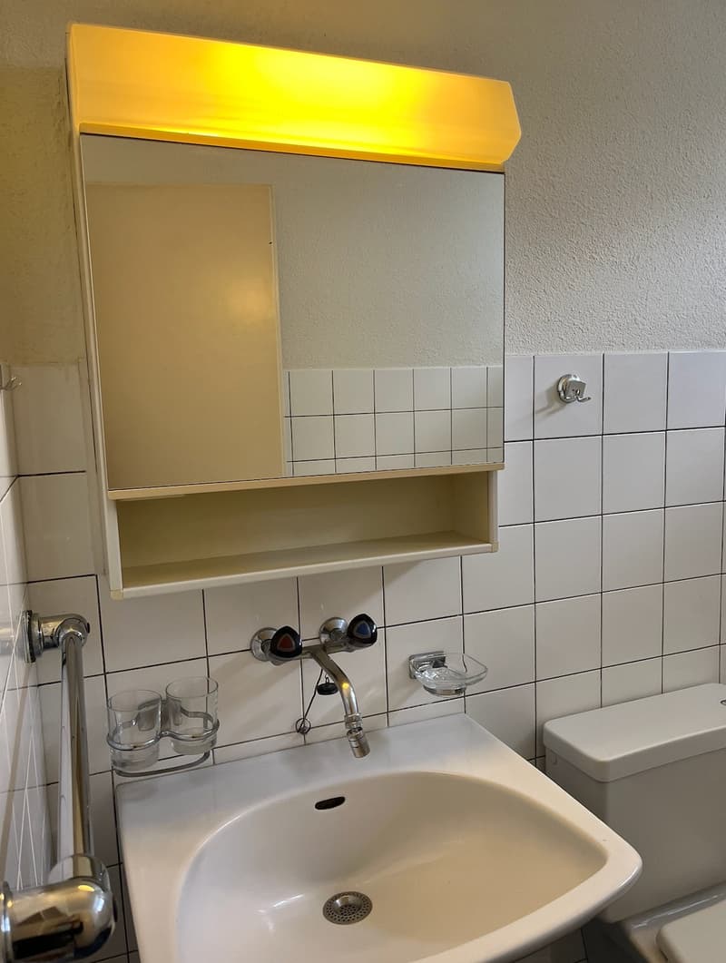 Helle 3-Zimmerwohnung in Jona (11)