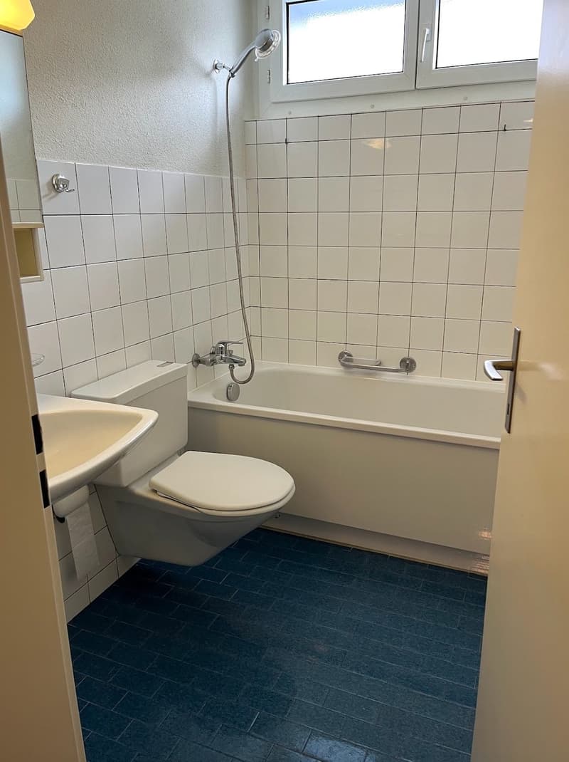 Helle 3-Zimmerwohnung in Jona (10)