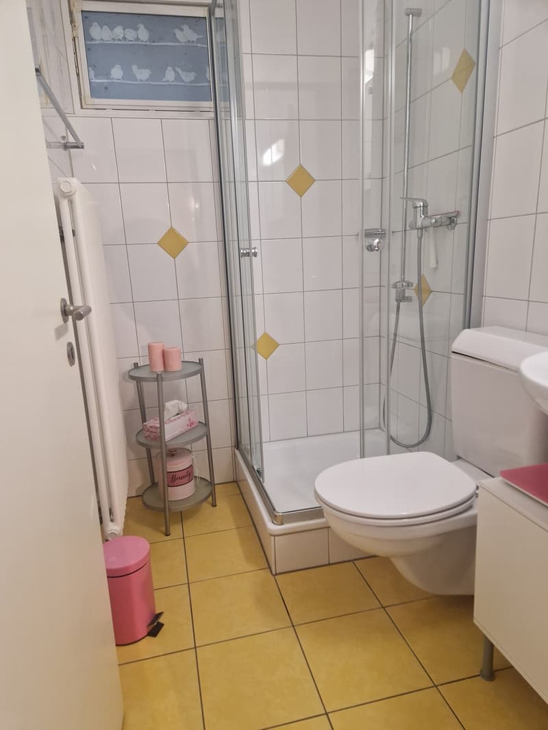 1.5 Zimmer Studio zu vermieten (2)