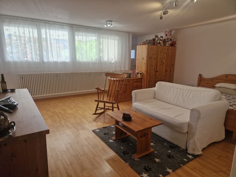 1.5 Zimmer Studio zu vermieten (1)