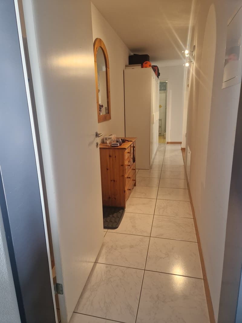 1.5 Zimmer Studio zu vermieten (3)