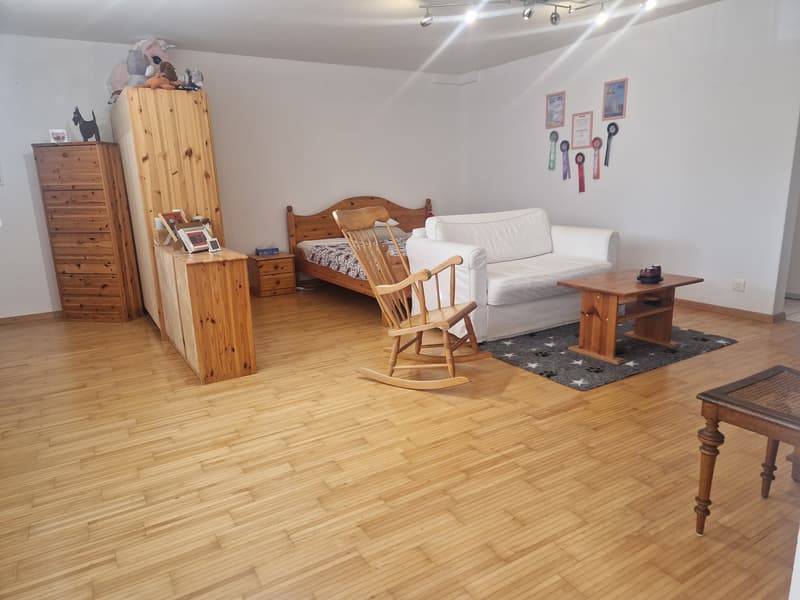 1.5 Zimmer Studio zu vermieten (5)