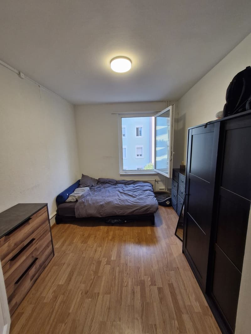 Nachmieter für 2.5 Zimmer Wohnung nahe Zoo Basel in Binningen (3)