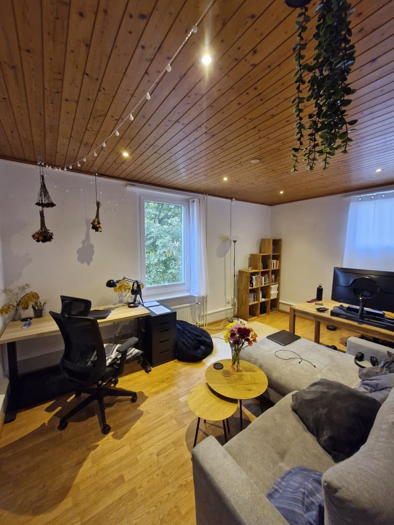 Nachmieter für 2.5 Zimmer Wohnung nahe Zoo Basel in Binningen (1)