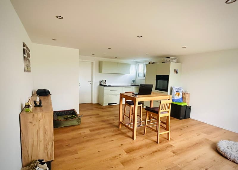 2.5 Zimmer-Wohnung (1.5 Zimmerstudiowohnung mit separatem Zimmer) (1)