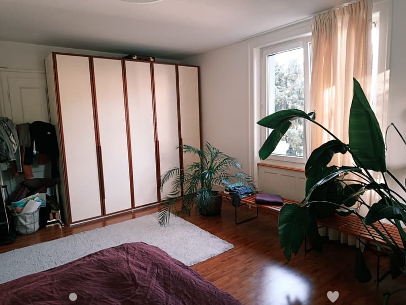 140m2 auf zwei Stockwerken, 2 Zimmer zum Vermieten (3)