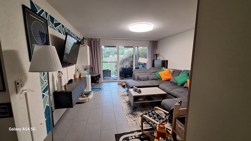 Moderne 3,5 Zimmer Wohnung (3)
