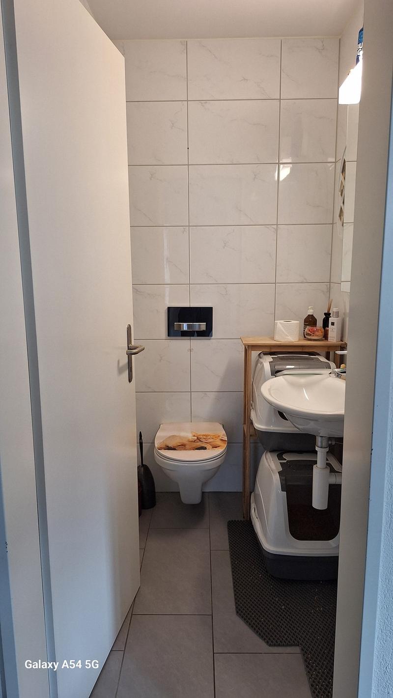 Moderne 3,5 Zimmer Wohnung (9)