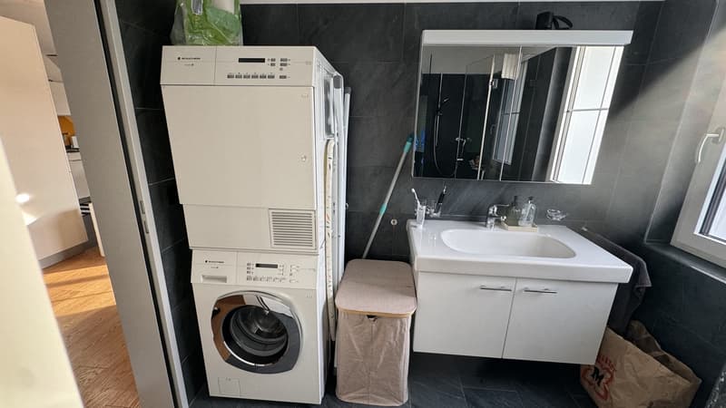Nachmieter gesucht schöne 3.5-Zimmer-Maisonettewohnung ab 1. Oktober 2026 (10)