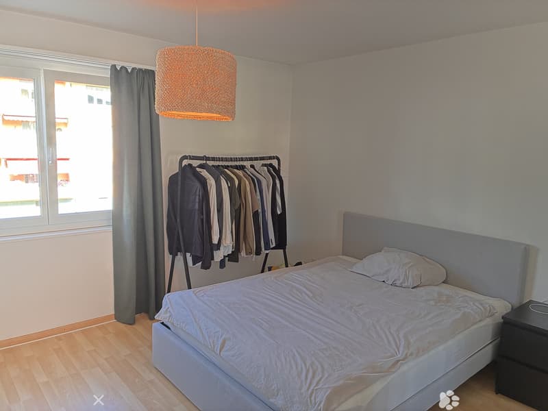 Helle 2.Zimmerwohnung in Biel/Bienne mit moderner Ausstattung (2)