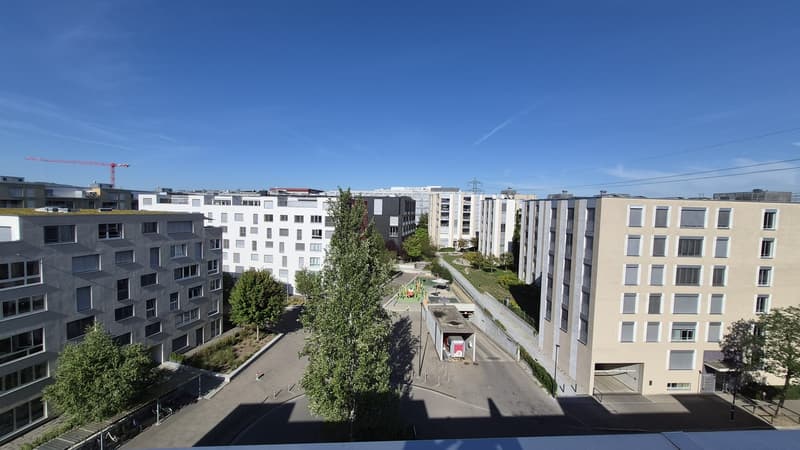 Stylish 1.5-Room Attic Apartment with large terraces in Glattpark, Opfikon (2)