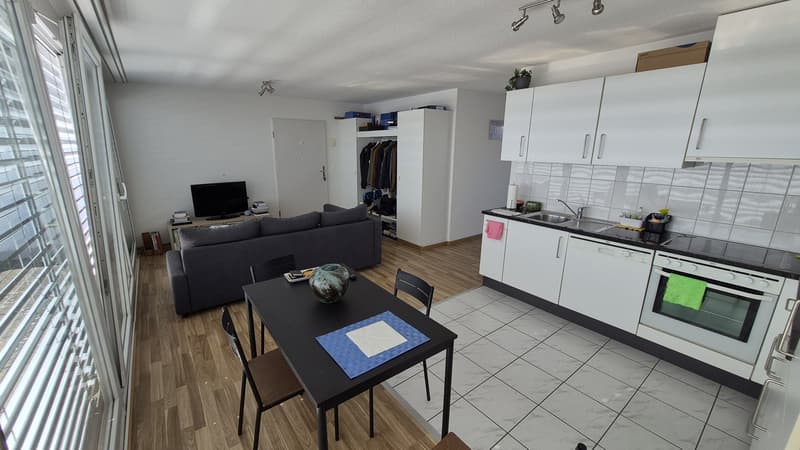 Stylish 1.5-Room Attic Apartment with large terraces in Glattpark, Opfikon (3)