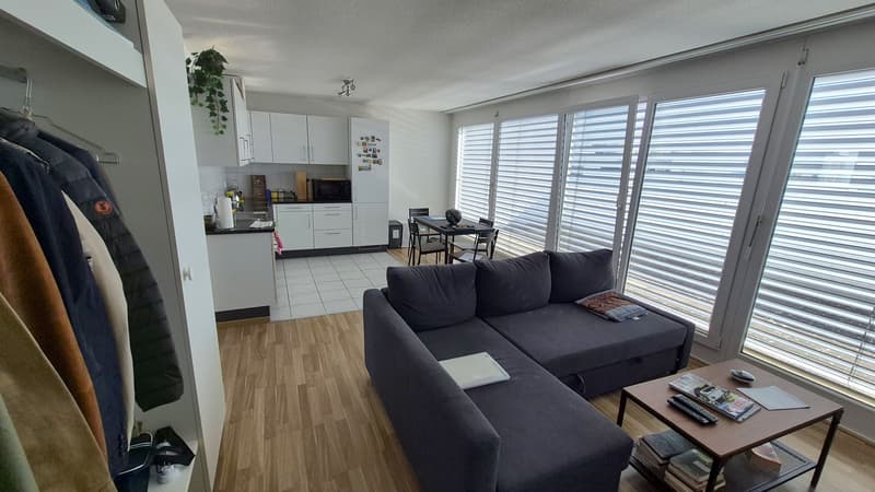 Stylish 1.5-Room Attic Apartment with large terraces in Glattpark, Opfikon (1)