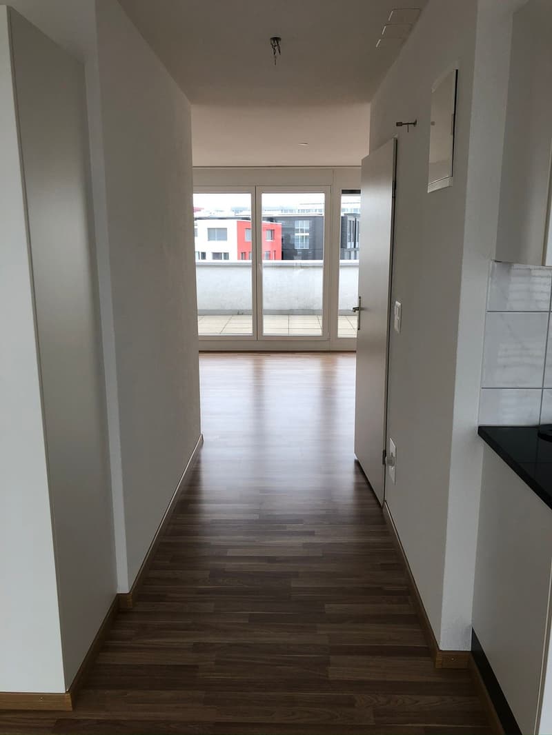 Stylish 1.5-Room Attic Apartment with large terraces in Glattpark, Opfikon (13)