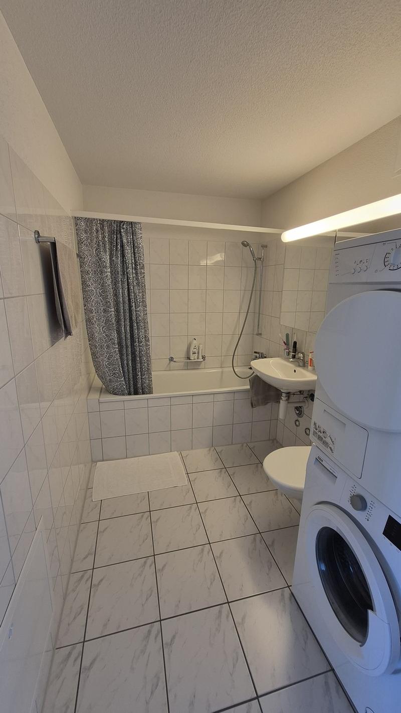 Stylish 1.5-Room Attic Apartment with large terraces in Glattpark, Opfikon (5)