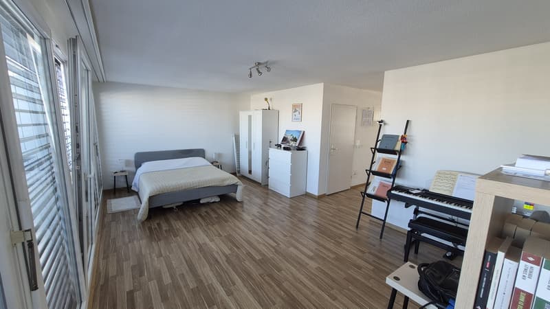 Stylish 1.5-Room Attic Apartment with large terraces in Glattpark, Opfikon (7)