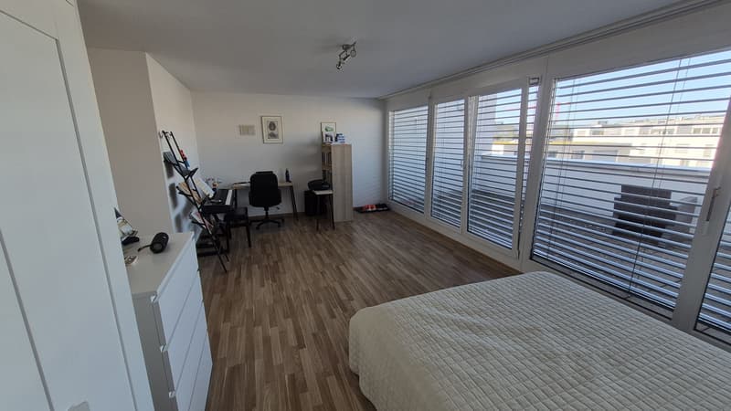 Stylish 1.5-Room Attic Apartment with large terraces in Glattpark, Opfikon (6)