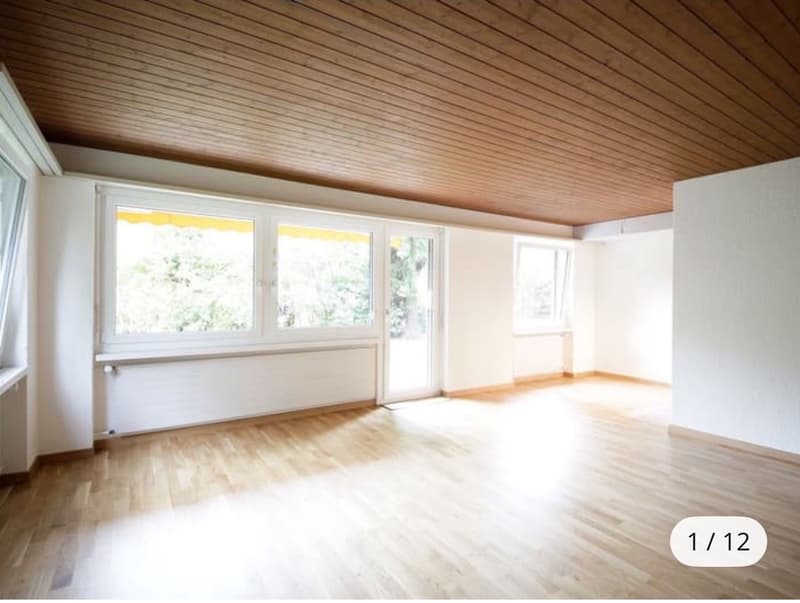 Grosszügige Gartenwohnung direkt an der Töss (6)