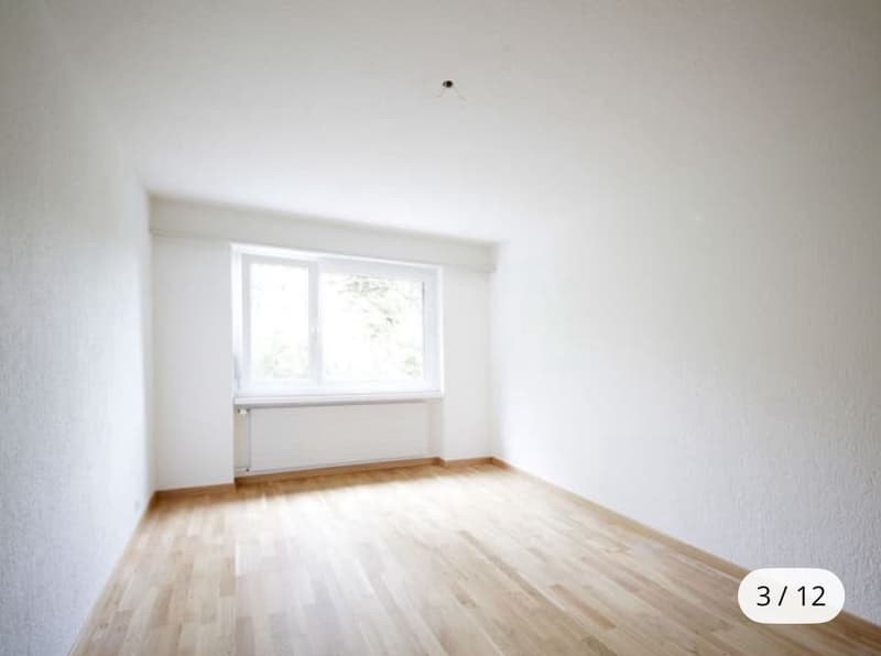 Grosszügige Gartenwohnung direkt an der Töss (2)