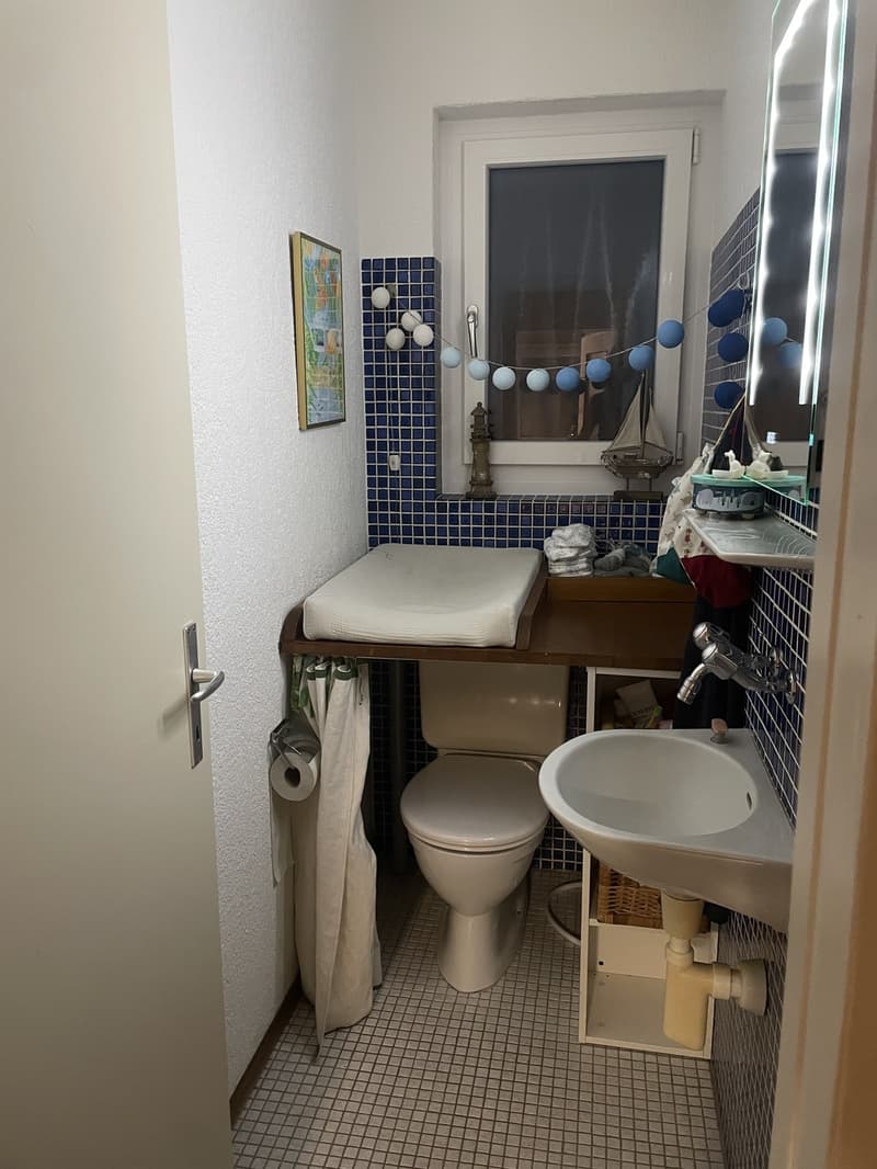 Grosszügige Gartenwohnung direkt an der Töss (9)