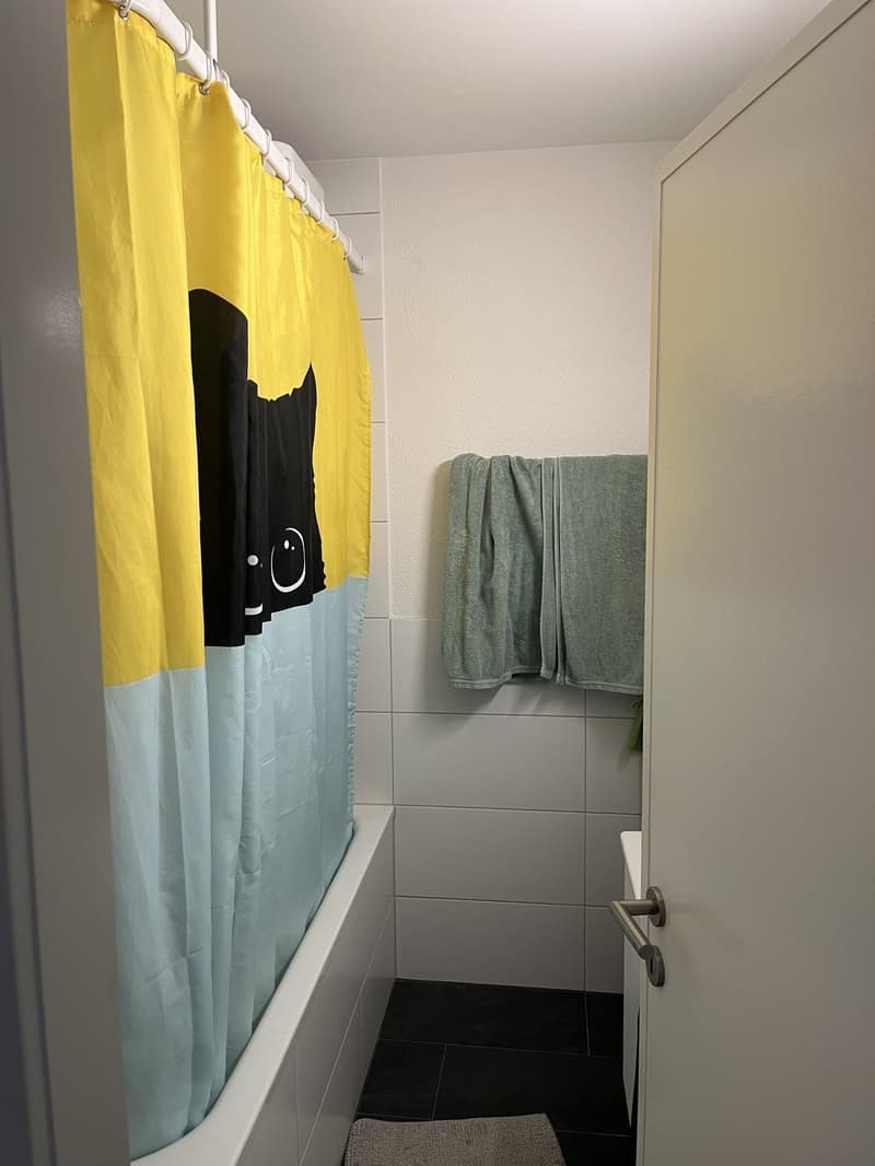 Helles WG-Zimmer nähe Wankdorf Bahnhof zu vermieten (7)