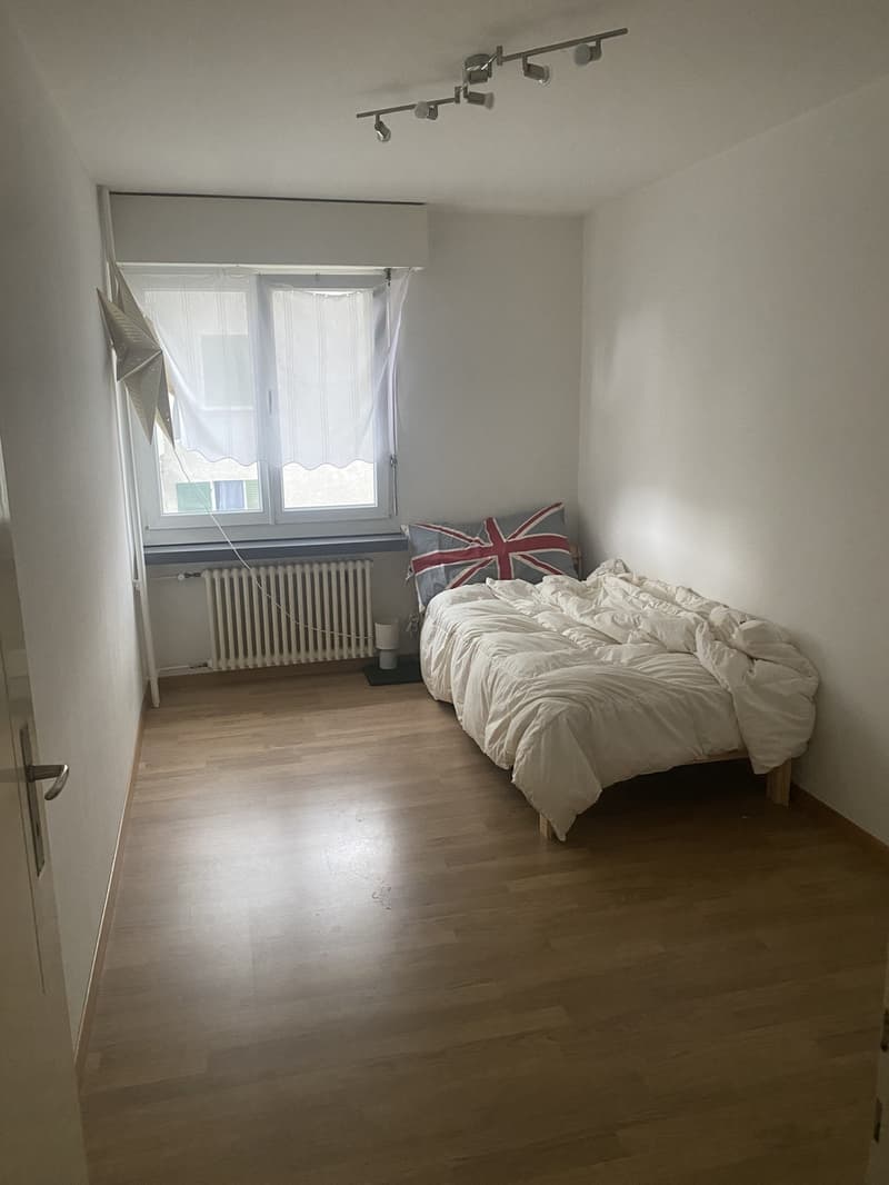 Room in Hedingen - 28 min from Zürich HB (1)