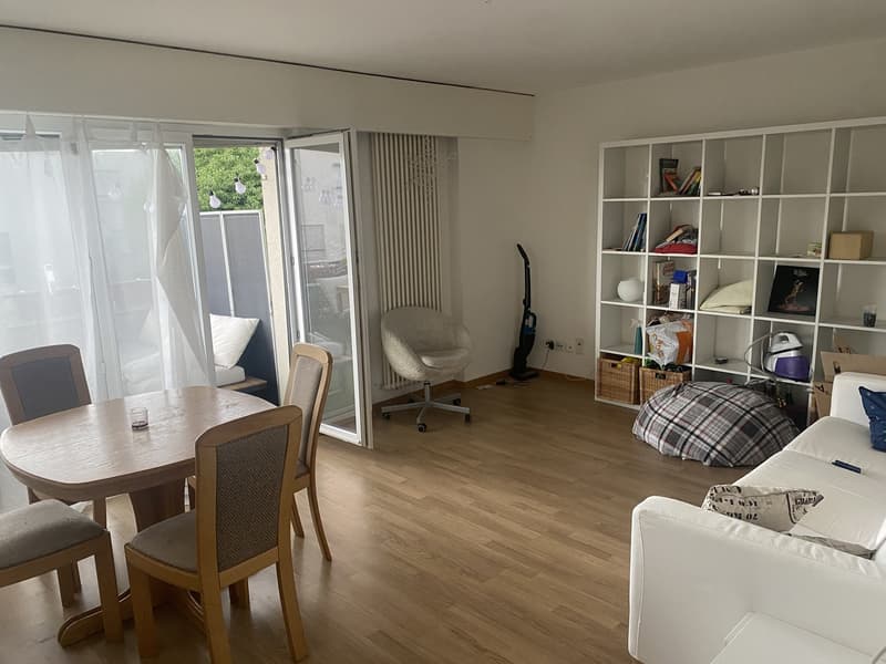 Room in Hedingen - 28 min from Zürich HB (2)