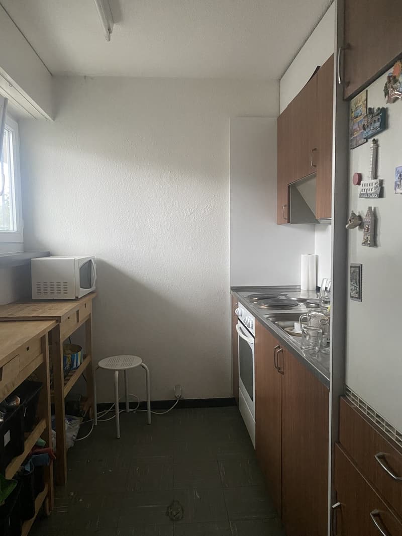 Room in Hedingen - 28 min from Zürich HB (3)