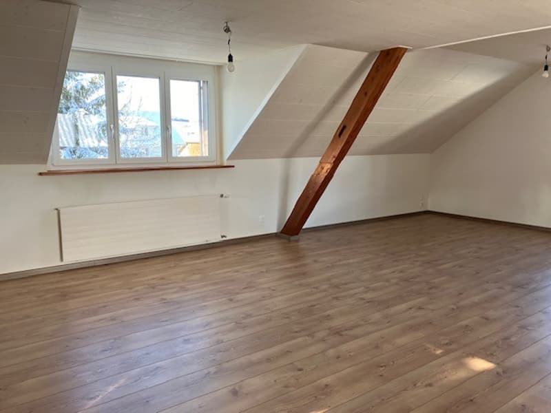 Tolle Dachwohnung (4)