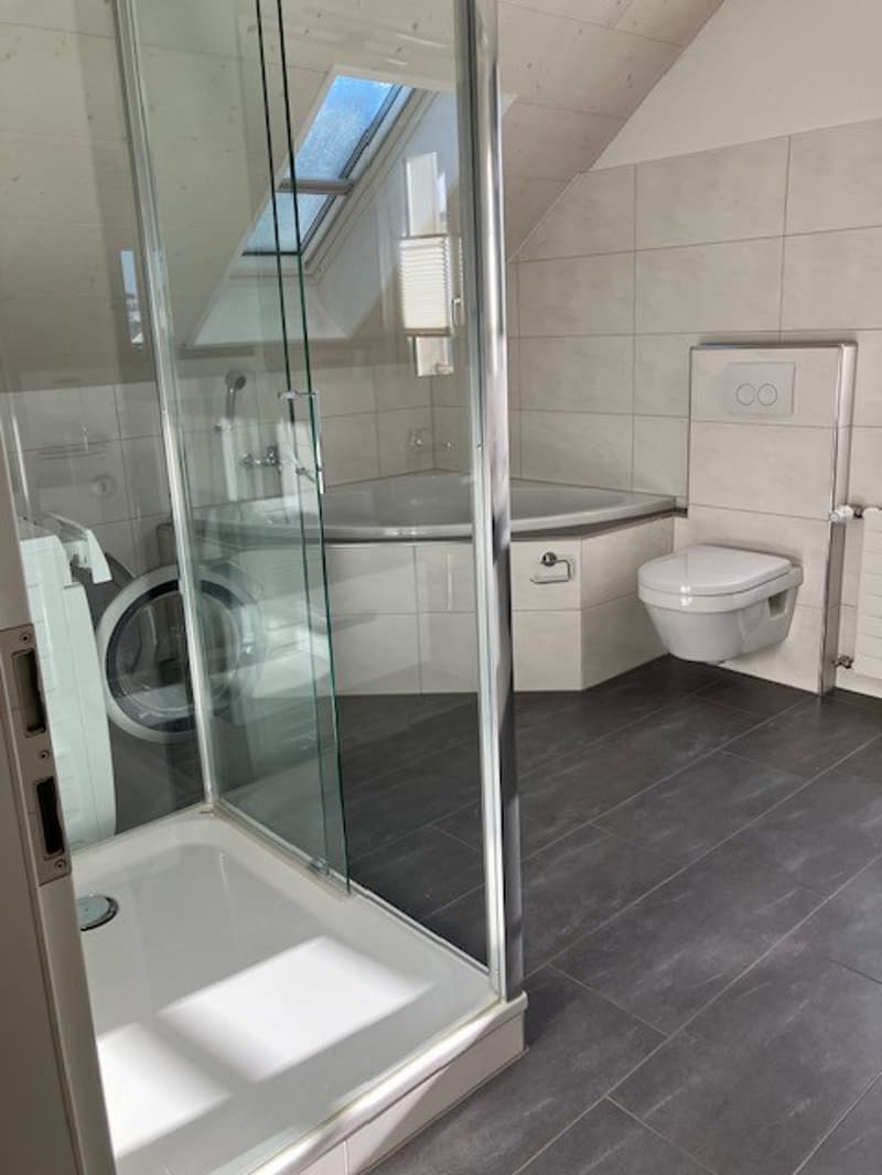 Tolle Dachwohnung (5)