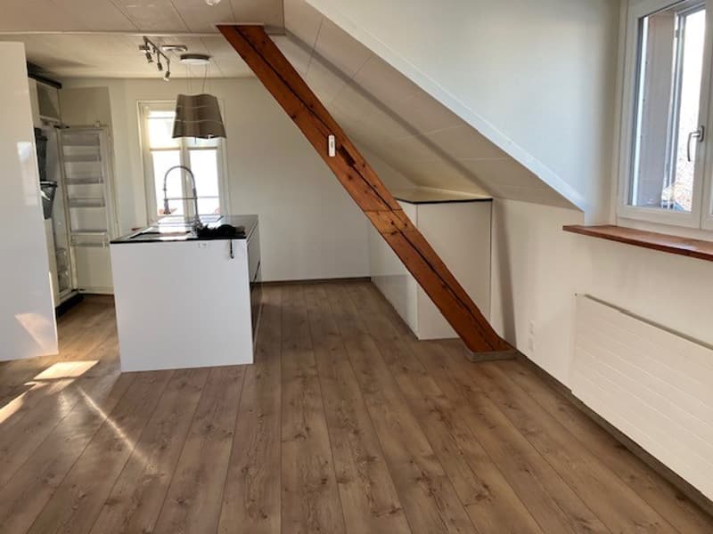 Tolle Dachwohnung (1)
