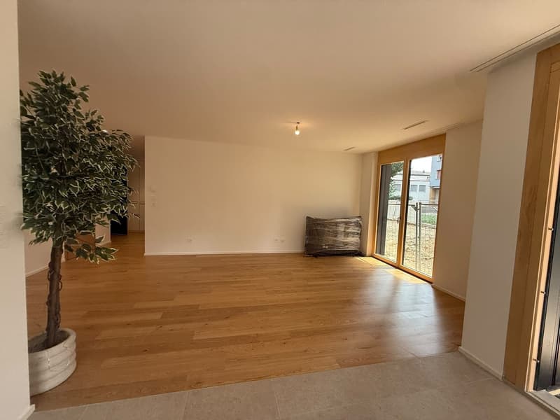 Magnifique appartement avec terrasse (3)