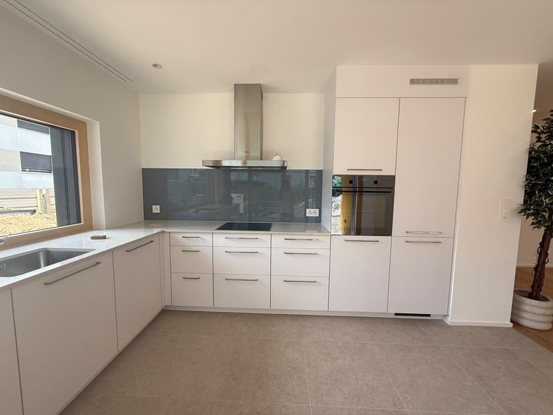 Magnifique appartement avec terrasse (2)