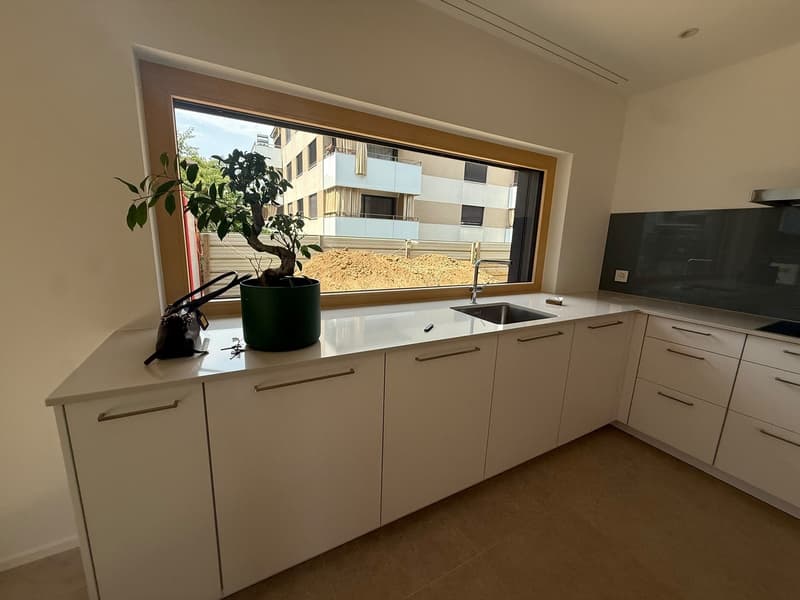Magnifique appartement avec terrasse (1)