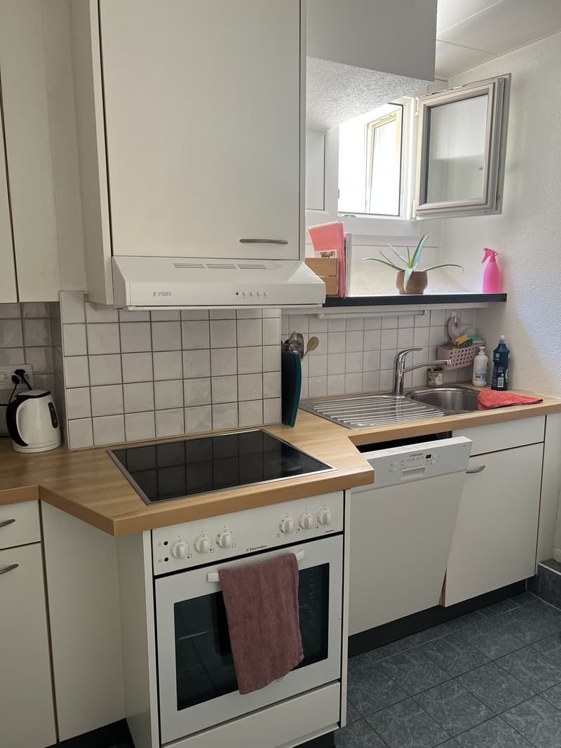 3.5 PIÈCES À FRIBOURG (5)