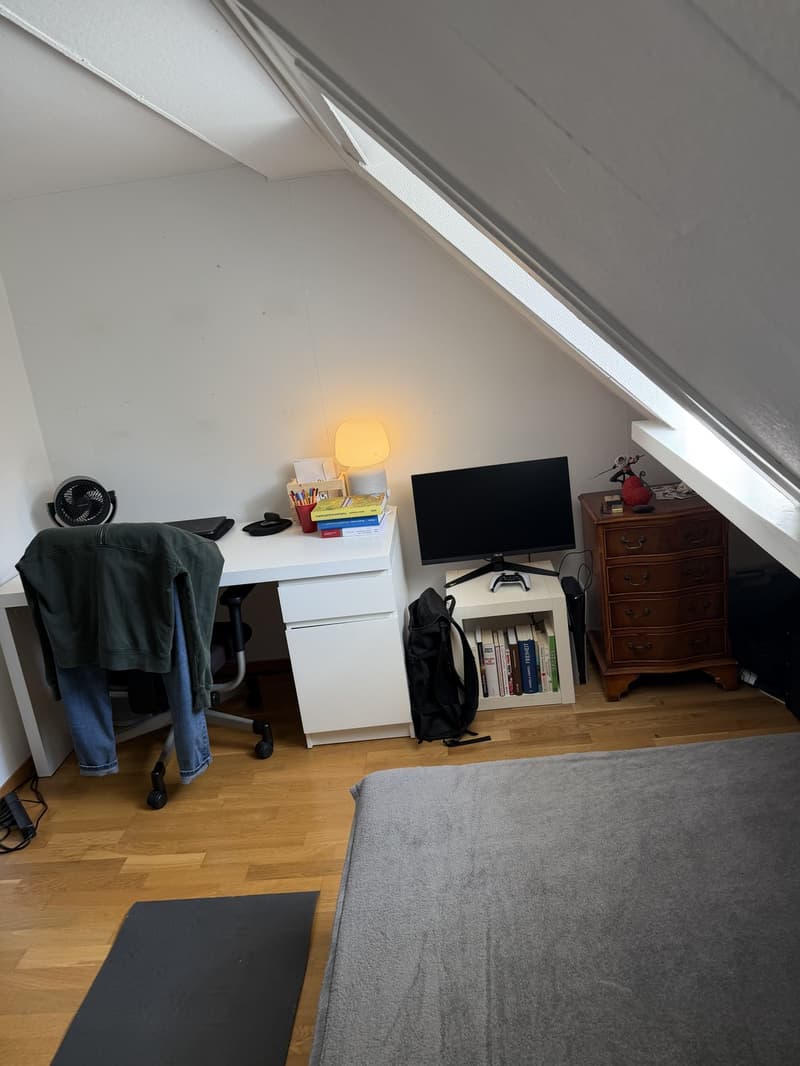 WG-Zimmer im Zentrum von Küsnacht ZH ab dem 01.10.2026 zu vermieten. (7)