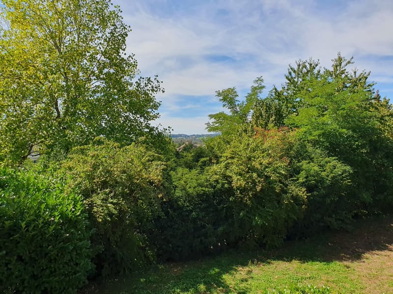 Helles 15.6 m² WG-Zimmer in grosszügiger 125 m² Wohnung in Ittigen (6)