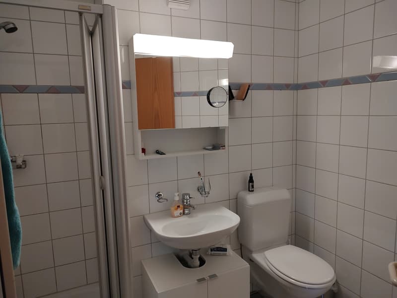 Helles 15.6 m² WG-Zimmer in grosszügiger 125 m² Wohnung in Ittigen (13)