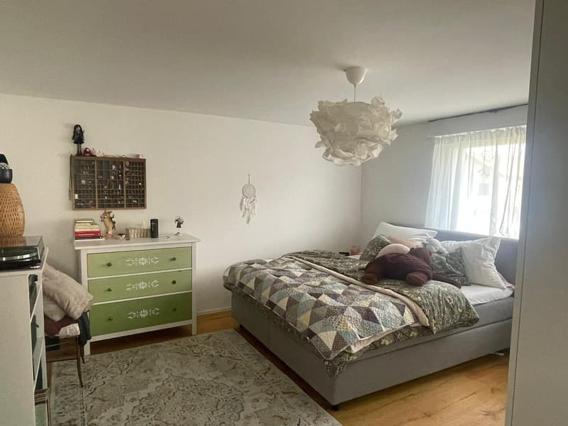 3 ½ Zimmer-Wohnung, 9470 Buchs SG (4)