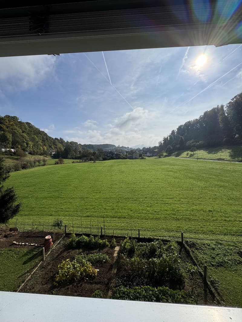 Helle 3.5-Zimmer-Dachwohnung mit Terrasse & Blick ins Grüne (3)