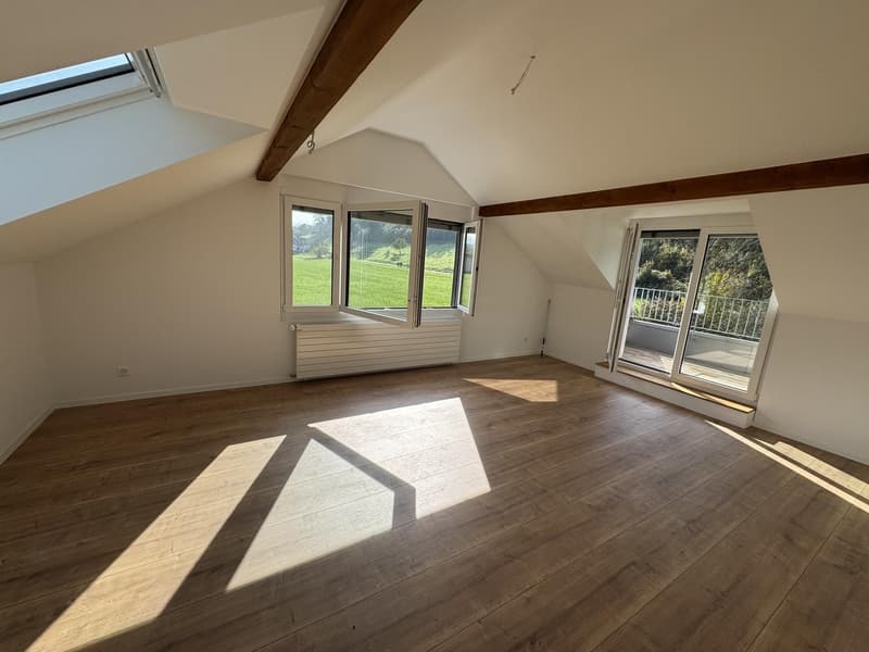 Helle 3.5-Zimmer-Dachwohnung mit Terrasse & Blick ins Grüne (1)