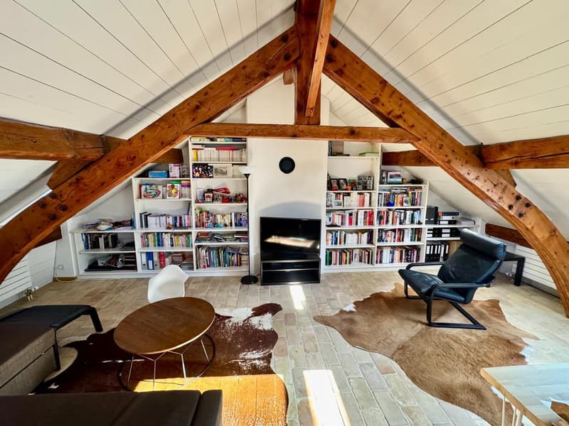 Grand Duplex de 4 Chambres au Cur de Nyon (1)