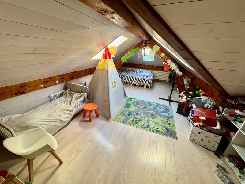 Grand Duplex de 4 Chambres au Cur de Nyon (4)